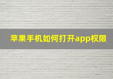 苹果手机如何打开app权限