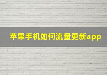 苹果手机如何流量更新app