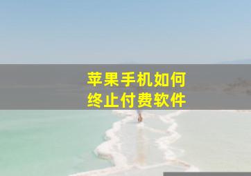 苹果手机如何终止付费软件