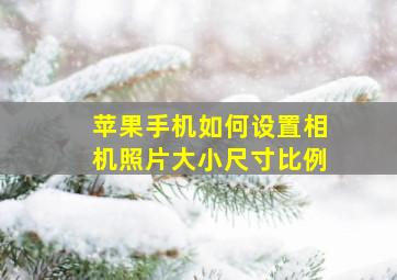 苹果手机如何设置相机照片大小尺寸比例