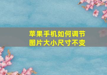 苹果手机如何调节图片大小尺寸不变