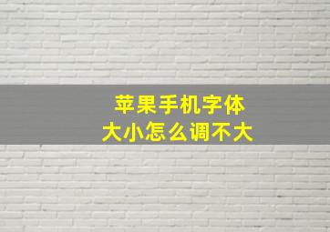 苹果手机字体大小怎么调不大