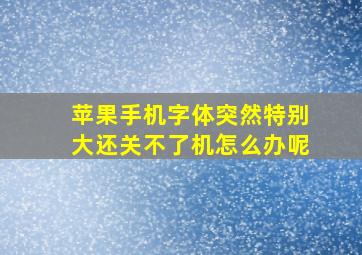 苹果手机字体突然特别大还关不了机怎么办呢