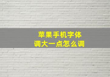 苹果手机字体调大一点怎么调