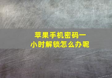 苹果手机密码一小时解锁怎么办呢