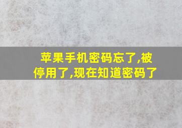 苹果手机密码忘了,被停用了,现在知道密码了