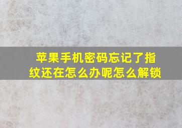 苹果手机密码忘记了指纹还在怎么办呢怎么解锁