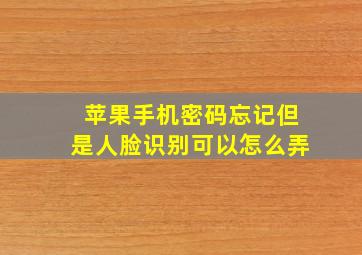 苹果手机密码忘记但是人脸识别可以怎么弄