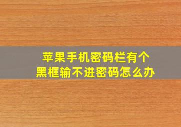 苹果手机密码栏有个黑框输不进密码怎么办