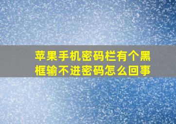 苹果手机密码栏有个黑框输不进密码怎么回事