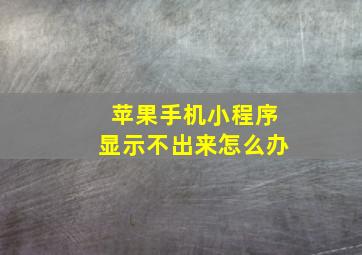 苹果手机小程序显示不出来怎么办