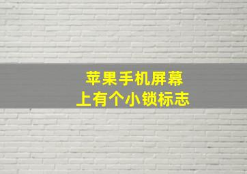 苹果手机屏幕上有个小锁标志