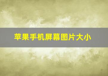 苹果手机屏幕图片大小