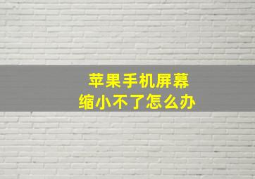 苹果手机屏幕缩小不了怎么办