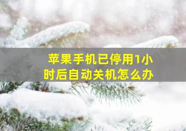 苹果手机已停用1小时后自动关机怎么办