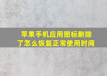 苹果手机应用图标删除了怎么恢复正常使用时间