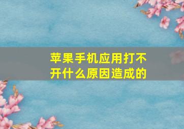 苹果手机应用打不开什么原因造成的