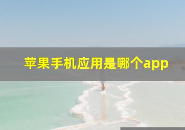 苹果手机应用是哪个app