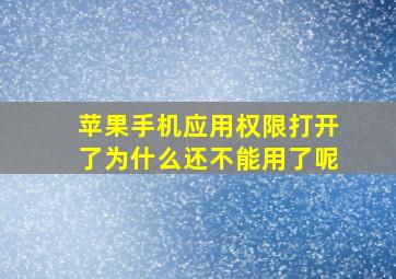 苹果手机应用权限打开了为什么还不能用了呢