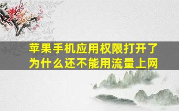 苹果手机应用权限打开了为什么还不能用流量上网