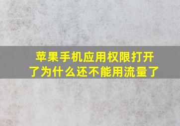 苹果手机应用权限打开了为什么还不能用流量了