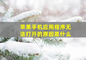 苹果手机应用程序无法打开的原因是什么