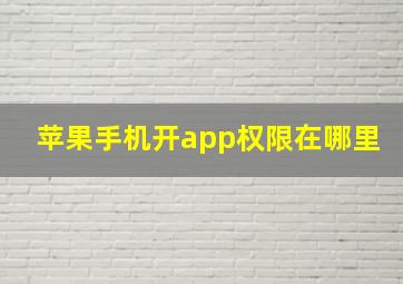 苹果手机开app权限在哪里