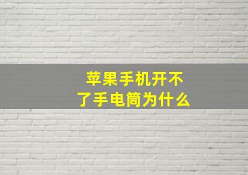 苹果手机开不了手电筒为什么