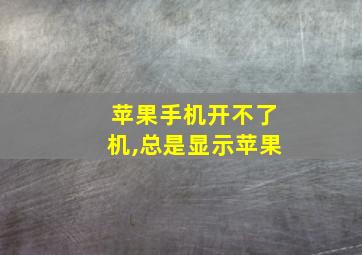 苹果手机开不了机,总是显示苹果