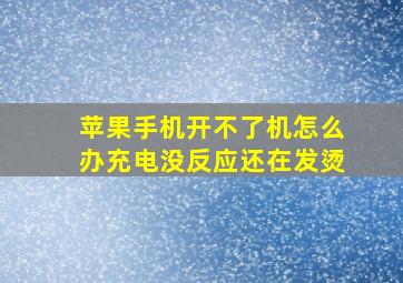 苹果手机开不了机怎么办充电没反应还在发烫