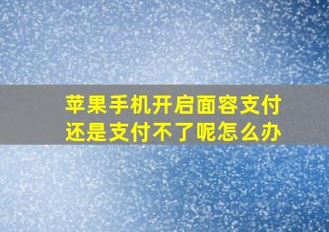 苹果手机开启面容支付还是支付不了呢怎么办