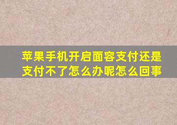 苹果手机开启面容支付还是支付不了怎么办呢怎么回事