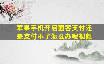 苹果手机开启面容支付还是支付不了怎么办呢视频