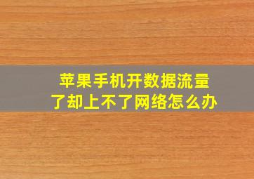 苹果手机开数据流量了却上不了网络怎么办