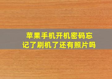 苹果手机开机密码忘记了刷机了还有照片吗