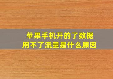 苹果手机开的了数据用不了流量是什么原因