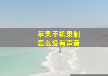 苹果手机录制怎么没有声音