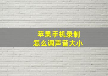 苹果手机录制怎么调声音大小