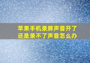 苹果手机录屏声音开了还是录不了声音怎么办