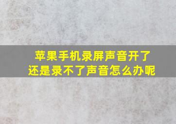 苹果手机录屏声音开了还是录不了声音怎么办呢