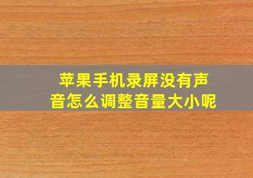 苹果手机录屏没有声音怎么调整音量大小呢