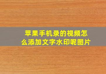 苹果手机录的视频怎么添加文字水印呢图片