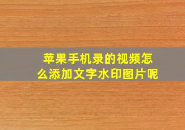 苹果手机录的视频怎么添加文字水印图片呢