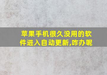 苹果手机很久没用的软件进入自动更新,咋办呢