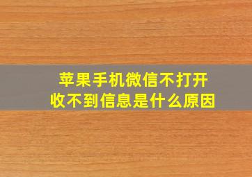 苹果手机微信不打开收不到信息是什么原因