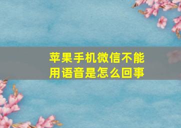 苹果手机微信不能用语音是怎么回事