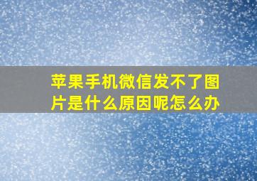 苹果手机微信发不了图片是什么原因呢怎么办