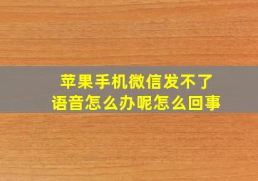 苹果手机微信发不了语音怎么办呢怎么回事