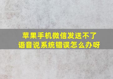 苹果手机微信发送不了语音说系统错误怎么办呀