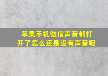 苹果手机微信声音都打开了怎么还是没有声音呢